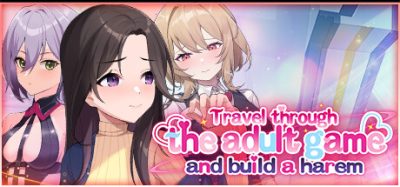 Travel through the adult game and build a harem