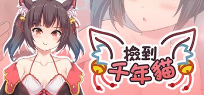 捡到千年猫 I got a millenary cat