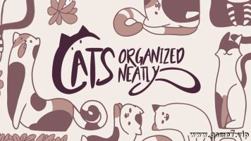 猫咪整齐划一丨Cats Organized Neatly