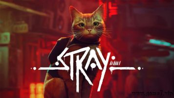流浪猫丨Stray