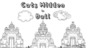 隐藏在巴厘岛的猫丨Cats Hidden in Bali
