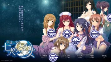 夜袭七人孕女丨夜這いする七人の女